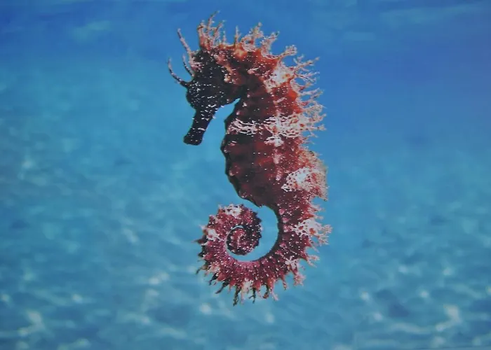 Apartament Maro's Family